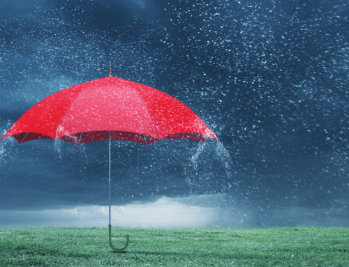 Plurale Fuhrung Alternative Zur One Man Show Leadership Insiders